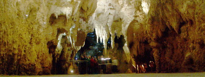 cathedral_in_waitomo_cave