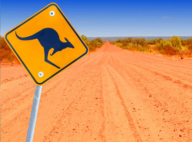 Australian kangaroo roadsign 
