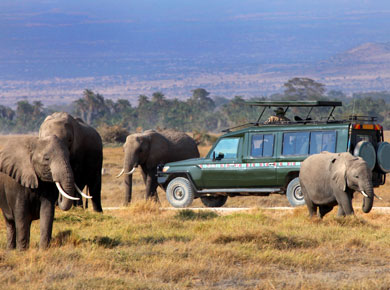 elephants reserve in kenya