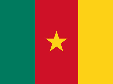 Yaounde flag