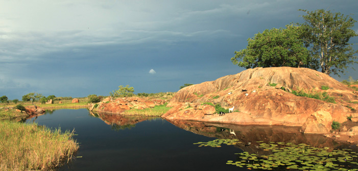 abuket-river-in-uganda
