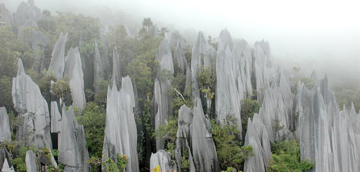 pinnacles-in-gunung-mulu-national-park